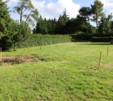 L'implantation et la découverte de la boulette