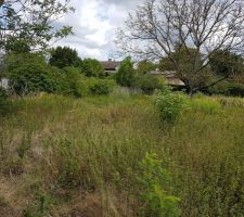 Le terrain au moment de la visite