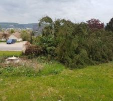 ELEGAGE NON GERE PAR VILLADEALE 22/04/2017