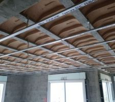 Rails pour plafond suspendu