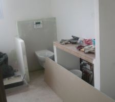 Les wc ont migr&eacute;s au fond... devant le plan vasque et &agrave; c&ocirc;t&eacute; un placard