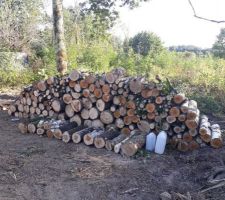 En avant la tronconneuse