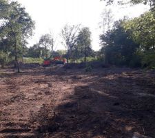 Nettoyage en cours et &eacute;vacuation des d&eacute;chets en benne