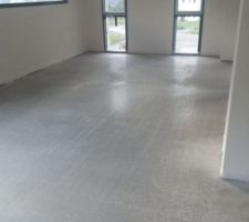 Chape2 coull&eacute;e