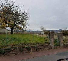 Vue du terrain depuis la route, au moment du compromis