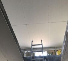 Les plafonds finis