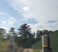 Chemin d'accès infesté de mauvaises herbes