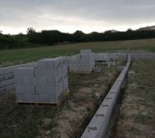 Vide sanitaire en cours