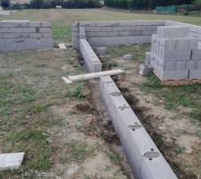 Vide sanitaire en cours