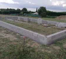 Vide sanitaire en cours