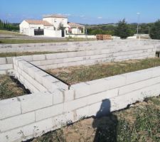 Vide sanitaire