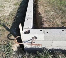 Vide sanitaire
