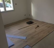 Parquet à clipser