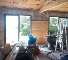 Doublage des murs en steico flex 60mm