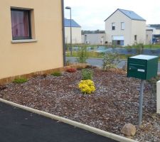 Plantes à l'avant de la maison et enrobée terminée