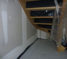 Forme arrondi de l'escalier que je trouve trés joli