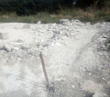 Picage croute de laitence