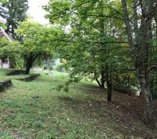 Terrain lors de la premi&egrave;re phase de l'&eacute;tude de sol