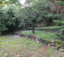 Terrain lors de la premi&egrave;re phase de l'&eacute;tude de sol