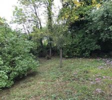 Terrain lors de la premi&egrave;re phase de l'&eacute;tude de sol