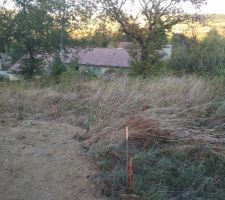 Avant le d&eacute;broussaillage.