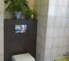 Transformation salle de bain en salle d'eau. Conservation du WC ressent.