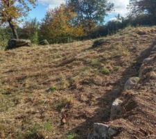 Nettoyage du terrain, suite et fin avant d&eacute;but du chantier.