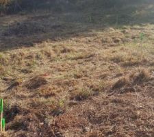 Nettoyage du terrain, suite et fin avant d&eacute;but du chantier.