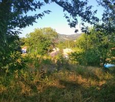 Avant le grand nettoyage, vue depuis le fond du jardin.