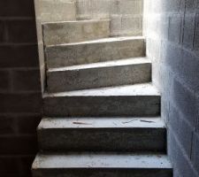 Escalier de la cave et trappe accès vide sanitaire