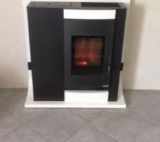 Choix du poêle à Pellet se sera le dame de chez edilkamin