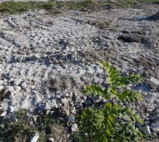 Ancien emplacement du poteau ! Ça fait plaisir de voir du vide