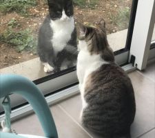 Duel de regards
