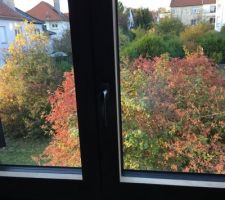 Les couleurs de l'automne