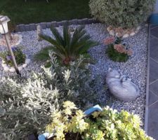 Le xième changement de plantes, enfin pas toutes, dans mon parterre de devant...Normalement, c'est bon !!! Enfin, on verra au printemps lol