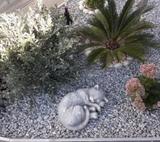 Le xi&egrave;me changement de plantes, enfin pas toutes, dans mon parterre de devant...Normalement, c'est bon !!! Enfin, on verra au printemps lol