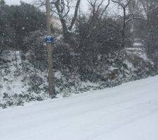 C?est parti pour 4 jours de neige 
Photo prise à Montpellier