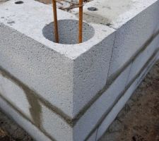 Vide sanitaire en cours