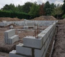 Vide sanitaire en cours