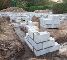 Vide sanitaire en cours