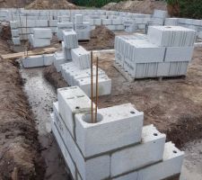 Vide sanitaire en cours