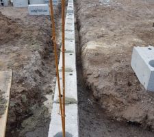 Vide sanitaire en cours