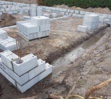 Vide sanitaire en cours