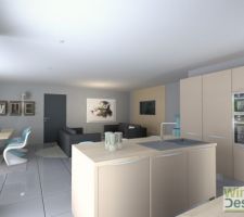 Plan 3D 
Vu du fond de la cuisine