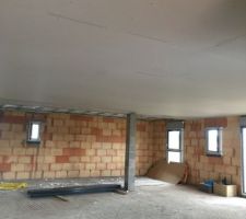 Plafond pièce de vie pose