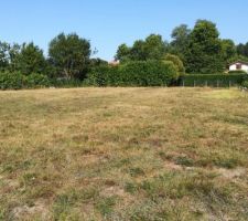 Premier debroussaillage