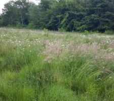 Autre vu du terrain.