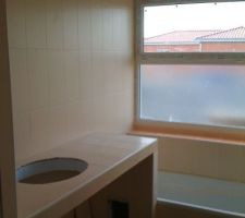 Avec un bati pour la vasque