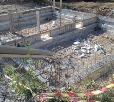 Vide sanitaire en cours