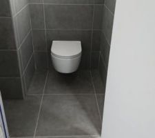 WC suspendu, Empora de chez Villeroy et Boch manque la plaque de commande à poser